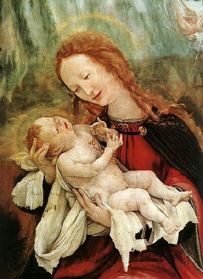 Matthias Grunewald Nativity